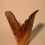 WoodTurn Abstract26
